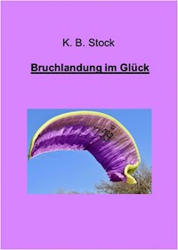 Bruchlandung im Glück - K. B. Stock - E-Book