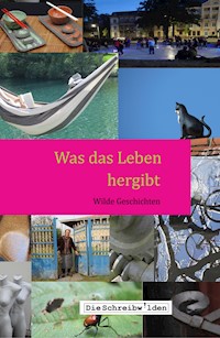 Was das Leben hergibt - Alex Devesper - E-Book