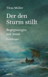 Der den Sturm stillt - Titus Müller - E-Book