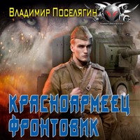 Красноармеец. Фронтовик - Владимир Поселягин - Hörbuch