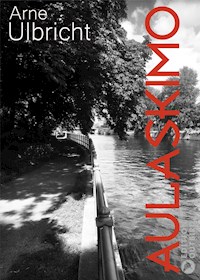 Aulaskimo - Arne Ulbricht - E-Book