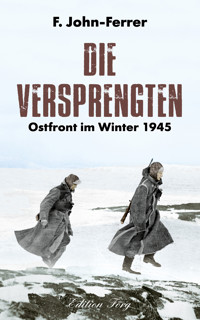 Die Versprengten - F. John-Ferrer - E-Book + Hörbuch