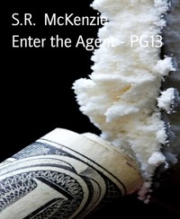 Enter the Agent - PG13 - S.R. McKenzie - kostenlos E-Book