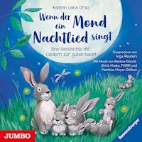 Wenn der Mond ein Nachtlied singt. Eine Geschichte mit Liedern zur guten Nacht - Kathrin-Lena Orso - Hörbuch