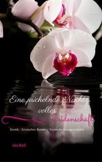 Eine prickelnde Nacht voller Leidenschaft Erotik / Erotischer Roman / Erotische Kurzgeschichte - Julia Weiß - E-Book