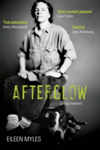 Afterglow - Eileen Myles - E-Book