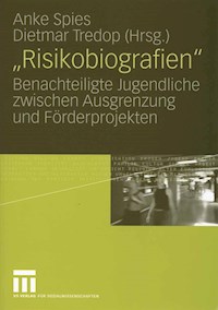 "Risikobiografien" -  - E-Book