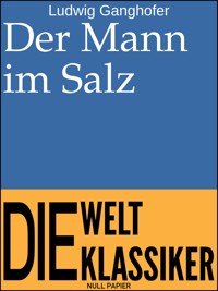 Der Mann im Salz - Ludwig Ganghofer - E-Book