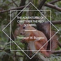 The Adventures of Chatterer the Red Squirrel - Thornton W. Burgess - Hörbuch
