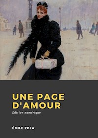 Une page d'amour - Émile Zola - E-Book