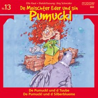 De Meischter Eder und sin Pumuckl, Nr. 13 - Ellis Kaut - Hörbuch