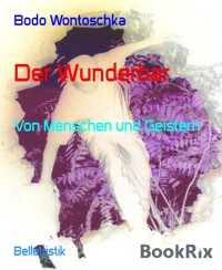 Der Wunderbar - Bodo Wontoschka - kostenlos E-Book