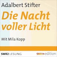 Die Nacht voller Licht - Adalbert  Stifter - Hörbuch
