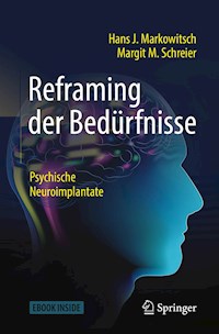 Reframing der Bedürfnisse - Hans J. Markowitsch - E-Book