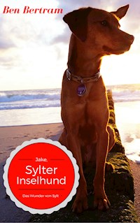 Das Wunder von Sylt - Ben Bertram - E-Book