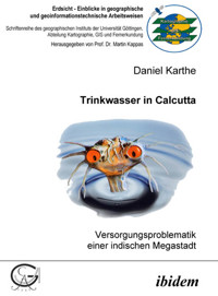 Trinkwasser in Calcutta - Daniel Karthe - E-Book