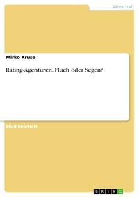 Rating-Agenturen. Fluch oder Segen? - Mirko Kruse - E-Book