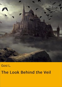 The Look Behind the Veil - Gosi L. - E-Book