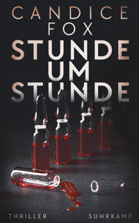 Stunde um Stunde - Candice Fox - E-Book