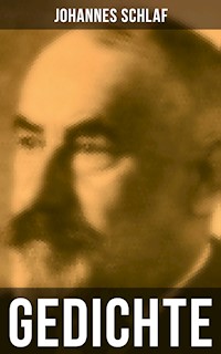 Gedichte - Johannes Schlaf - E-Book