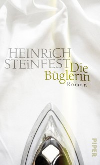 Die Büglerin - Heinrich Steinfest - E-Book