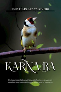 Karnaba - José Félix Arana - E-Book