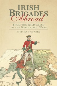 Irish Brigades Abroad - Stephen McGarry - E-Book
