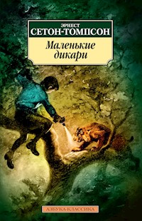 Маленькие дикари - Эрнест Сетон-Томпсон - E-Book