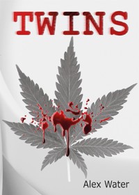 Twins - Alex Water - E-Book