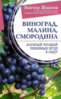 Виноград, малина, смородина. Богатый урожай любимых ягод в саду - Виктор Жвакин - E-Book
