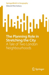 The Planning Role in Stretching the City - Shlomit Flint Ashery - E-Book