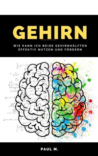 Gehirn - Paul M. - E-Book