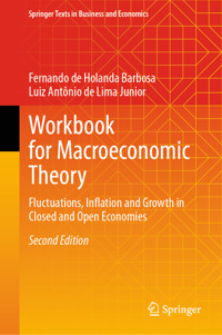 Workbook for Macroeconomic Theory - Fernando de Holanda Barbosa - E-Book