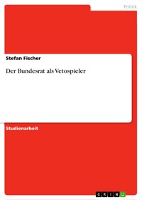 Der Bundesrat als Vetospieler - Stefan Fischer - E-Book