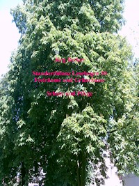 Standortbilanz Lesebogen 30 Freiräume und Grünräume - Jörg Becker - E-Book