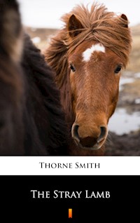 The Stray Lamb - Thorne Smith - E-Book