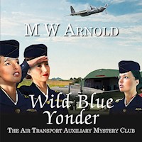 Wild Blue Yonder - M.W. Arnold - Hörbuch
