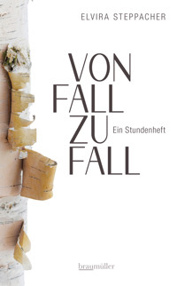 Von Fall zu Fall - Elvira Steppacher - E-Book