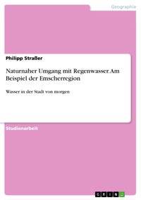 Naturnaher Umgang mit Regenwasser. Am Beispiel der Emscherregion - Philipp Strasser - E-Book