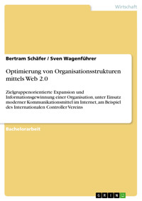 Optimierung von Organisationsstrukturen mittels Web 2.0 - Bertram Schäfer - E-Book