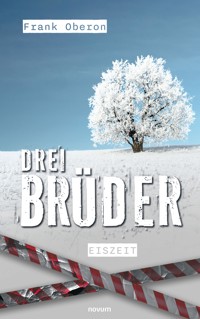Drei Brüder – Eiszeit - Frank Oberon - E-Book