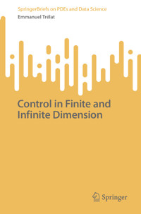 Control in Finite and Infinite Dimension - Emmanuel Trélat - E-Book