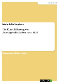 Die Konsolidierung von Zweckgesellschaften nach HGB - Maria Julia Sangines - E-Book