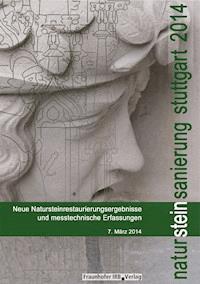 Natursteinsanierung Stuttgart 2014. -  - E-Book