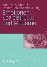 Emotionen, Sozialstruktur und Moderne -  - E-Book