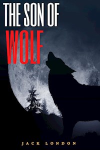 The Son of the Wolf (Annotated) - Jack  London - E-Book