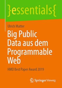 Big Public Data aus dem Programmable Web - Ulrich Matter - E-Book