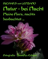 Natur - bei Nacht - Richard von Lenzano - E-Book