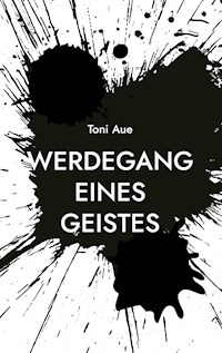 Werdegang eines Geistes - Toni Aue - E-Book