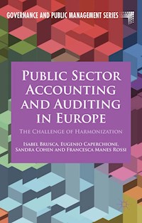 Public Sector Accounting and Auditing in Europe -  - E-Book